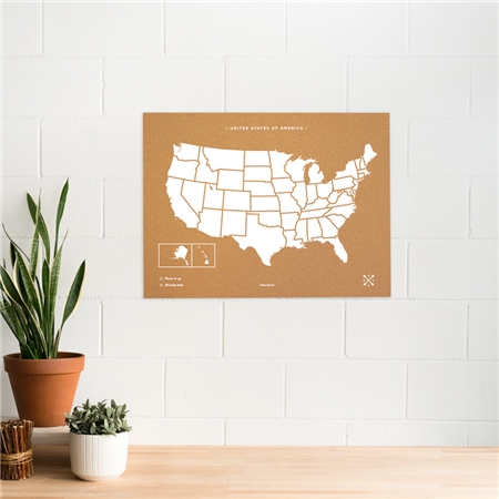 Nástěnná korková mapa USA XL