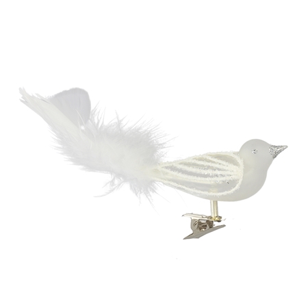 Ptáček bílý se stříbrným zobáčkem